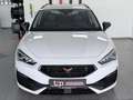 CUPRA Leon 2.0 TDI R.Kamera ACC LED Keyless Navi Weiß - thumbnail 3