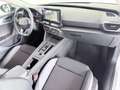 CUPRA Leon 2.0 TDI R.Kamera ACC LED Keyless Navi Weiß - thumbnail 14
