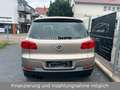 Volkswagen Tiguan Cup Sport & Style 4Motion*DSG*Pano*Xenon*1.Hand Beige - thumbnail 6