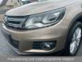 Volkswagen Tiguan Cup Sport & Style 4Motion*DSG*Pano*Xenon*1.Hand Beige - thumbnail 8