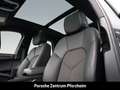 Porsche Macan Surround-View Panoramadach PDLS+ 20-Zoll Grau - thumbnail 5