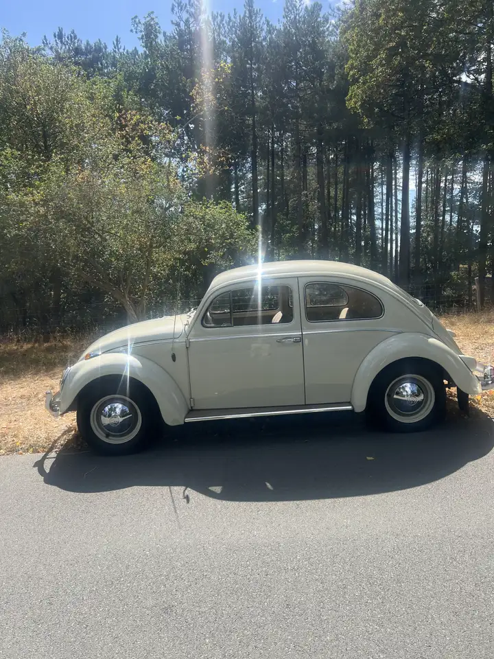 Volkswagen Kever VW 1/11 de Luxe, foto 5