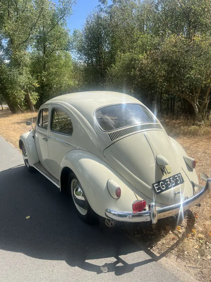 Volkswagen Kever VW 1/11 de Luxe, foto 4