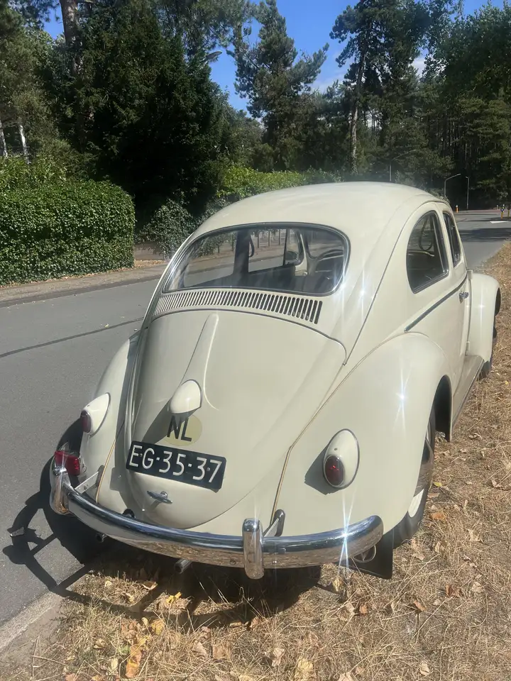 Volkswagen Kever VW 1/11 de Luxe, foto 3