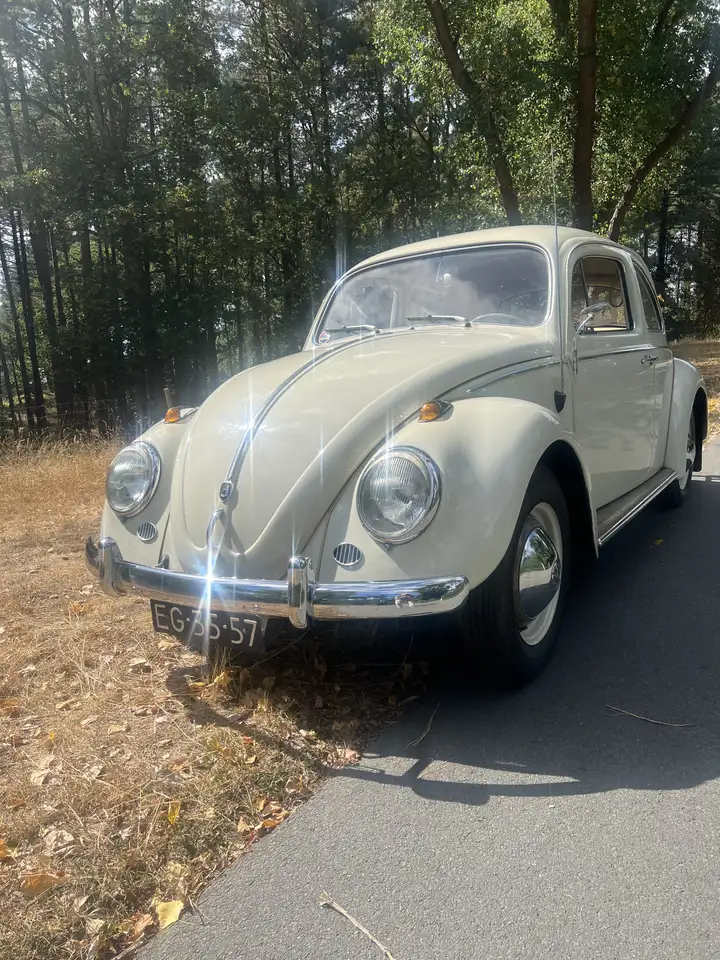Volkswagen Kever VW 1/11 de Luxe, foto 6
