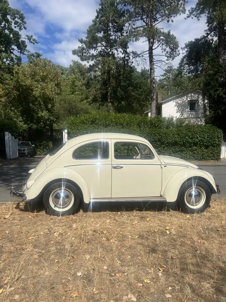 Volkswagen Kever VW 1/11 de Luxe, foto 2