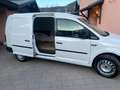 Volkswagen Caddy Caddy Kombi 2,0 TDI 4MOTION Weiß - thumbnail 2