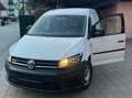 Volkswagen Caddy Caddy Kombi 2,0 TDI 4MOTION Weiß - thumbnail 1