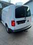Volkswagen Caddy Caddy Kombi 2,0 TDI 4MOTION Weiß - thumbnail 3