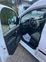 Volkswagen Caddy Caddy Kombi 2,0 TDI 4MOTION Weiß - thumbnail 6