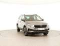 Skoda Karoq Ambition TDI DSG Grau - thumbnail 2