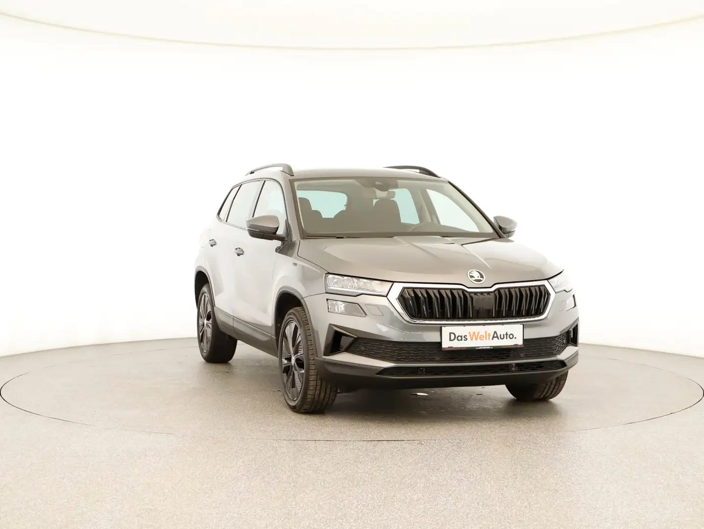 Skoda Karoq Ambition TDI DSG Grau - 2