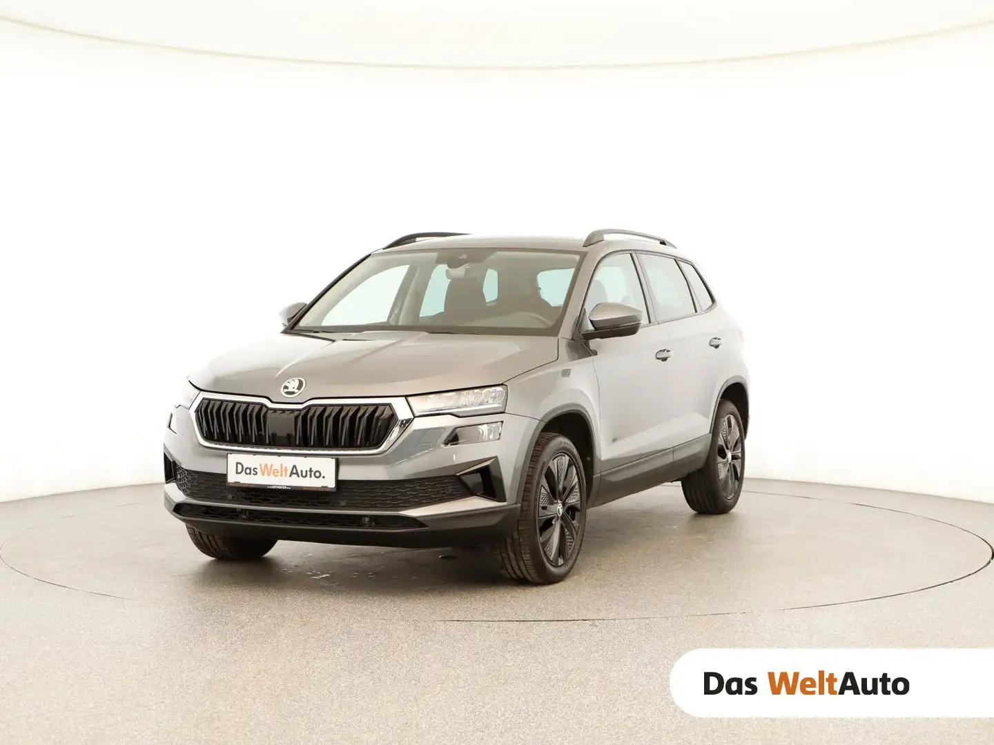 Skoda Karoq Ambition TDI DSG Grau - 1