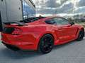 Ford Mustang Mustang Fastback 2.3 ecoboost 317cv auto Rosso - thumbnail 4
