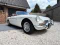 MG MGB OVERDRIVE Blanc - thumbnail 1