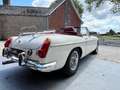 MG MGB OVERDRIVE Blanc - thumbnail 5