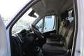 Fiat Ducato Maxi Pritsche L4 180Automatik 10 Zoll Na... Weiß - thumbnail 17