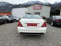 Mercedes-Benz S 350 S 350 Blue Efficiency lang 4MATIC Aut. Weiß - thumbnail 6