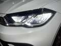 Volkswagen Polo 1.0 TSI DSG Life LED Apple/Android SHZ PDC Blanc - thumbnail 33