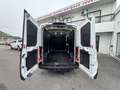 Ford Transit 2.0 TDCi L3 H3 LONG CHASSIS ETAT NEUVE Blanc - thumbnail 16