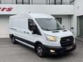 Ford Transit 2.0 TDCi L3 H3 LONG CHASSIS ETAT NEUVE Blanc - thumbnail 2