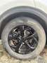 Kia Sportage IV Phase 2 1.6 CRDi 16V Eco-Dynamics+ 4x2 DCT7 136 Weiß - thumbnail 23