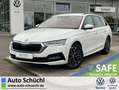 Skoda Octavia Combi 2.0 TDI DSG Clever AHK+17"+NAVI-CO Weiß - thumbnail 1