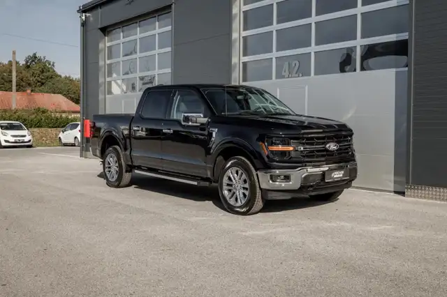 Ford F-150 XLT SuperCrew 5,5'-Bed 4x4