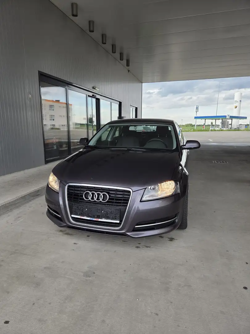 Audi A3 Attraction 1,6 TDI Violett - 2