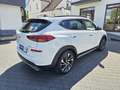 Hyundai TUCSON 2.0 CRDI Premium 4WD LEDER RFK PANO. Blanc - thumbnail 4