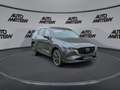 Mazda CX-5 Ad'vantage 2WD *TZ* Grau - thumbnail 8