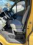 Renault Trafic žuta - thumbnail 3