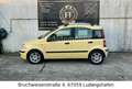 Fiat Panda 1.2 8v *Dynamic* Klimaautomatik*TÜV Neu* Gelb - thumbnail 5