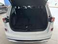 Ford Kuga 1.5 EcoBoost ST-Line X FWD 150 Blanc - thumbnail 13