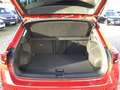 Volkswagen T-Roc 1.5TSI DSG Move LED-Plus AHK Navi Rear View ACC Rot - thumbnail 16