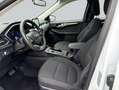 Ford Kuga 2.5 Duratec PHEV TITANIUM Weiß - thumbnail 10