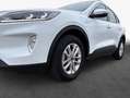 Ford Kuga 2.5 Duratec PHEV TITANIUM Weiß - thumbnail 7