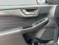 Ford Kuga 2.5 Duratec PHEV TITANIUM Weiß - thumbnail 16