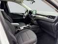 Ford Kuga 2.5 Duratec PHEV TITANIUM Weiß - thumbnail 13