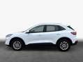 Ford Kuga 2.5 Duratec PHEV TITANIUM Weiß - thumbnail 5