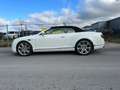 Bentley Continental GTC V8*MULLINER*FACELIFT*WEIß/WEIß* Weiß - thumbnail 29