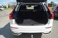 Volvo XC60 B4 Diesel AWD Plus Dark Aut/AHK/360°/Standh Weiß - thumbnail 13
