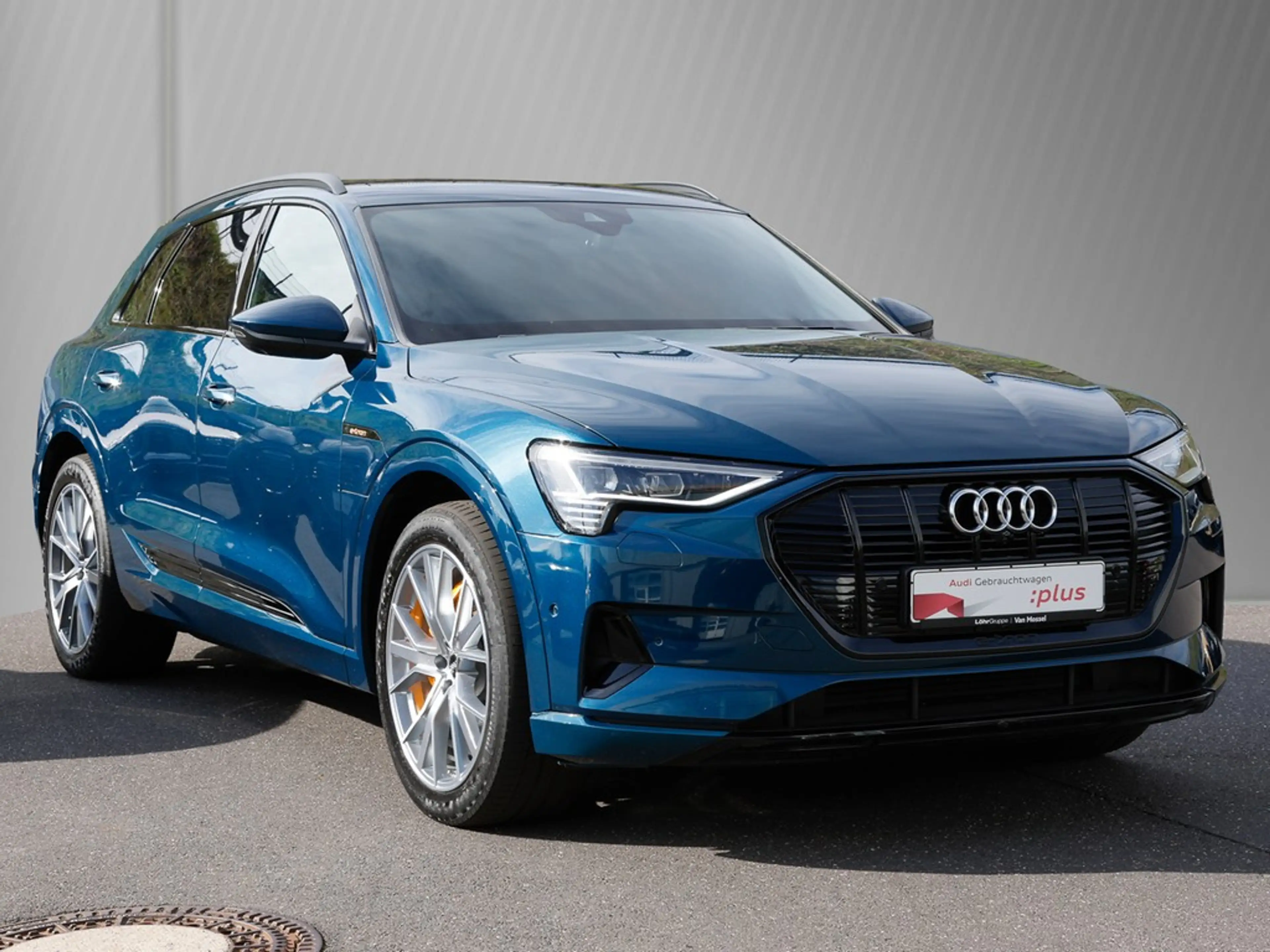 Audi e-tron 55 advanced Matrix HuD TopView Leder B&O — photo 4