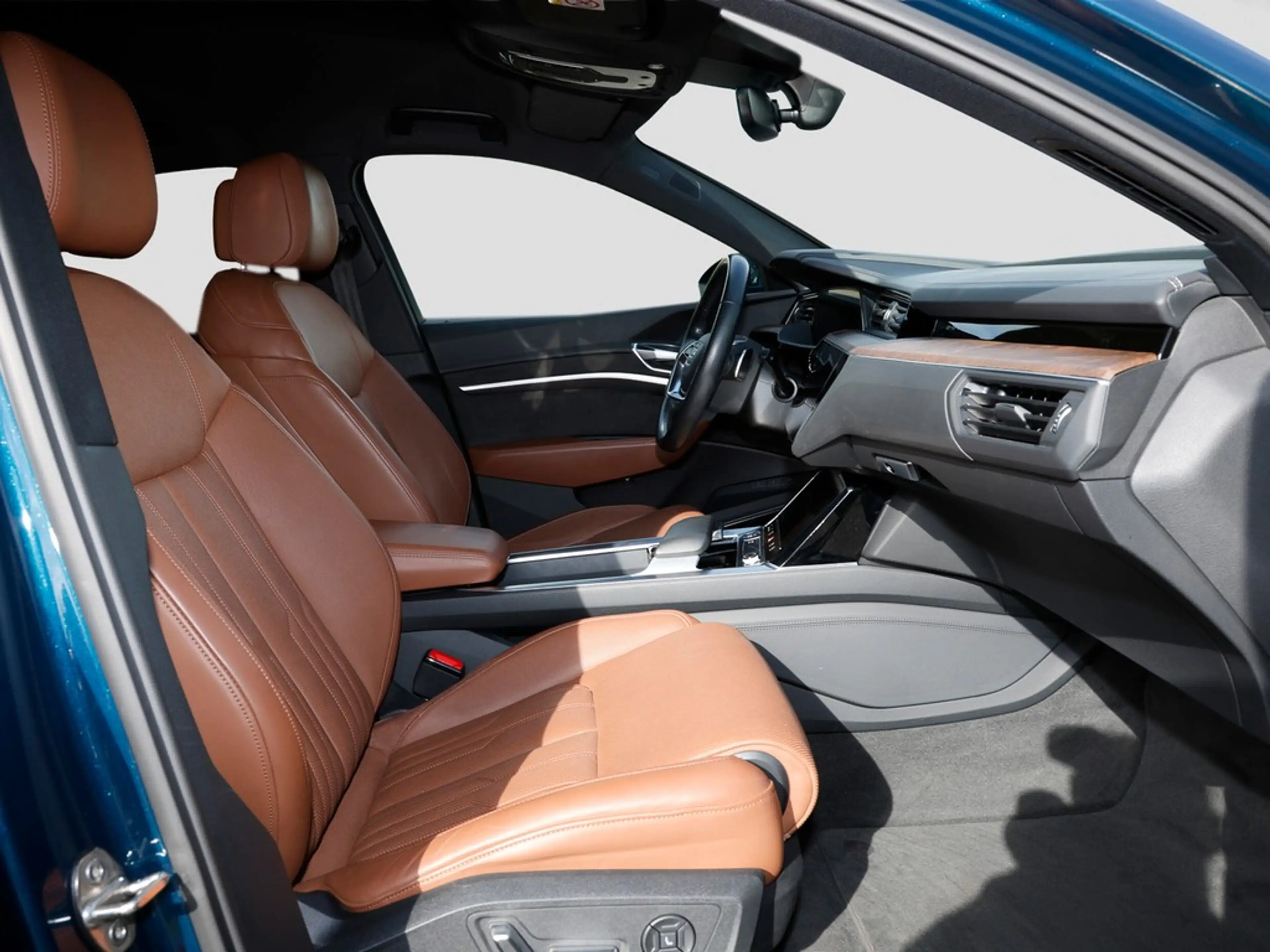 Audi e-tron 55 advanced Matrix HuD TopView Leder B&O — photo 11