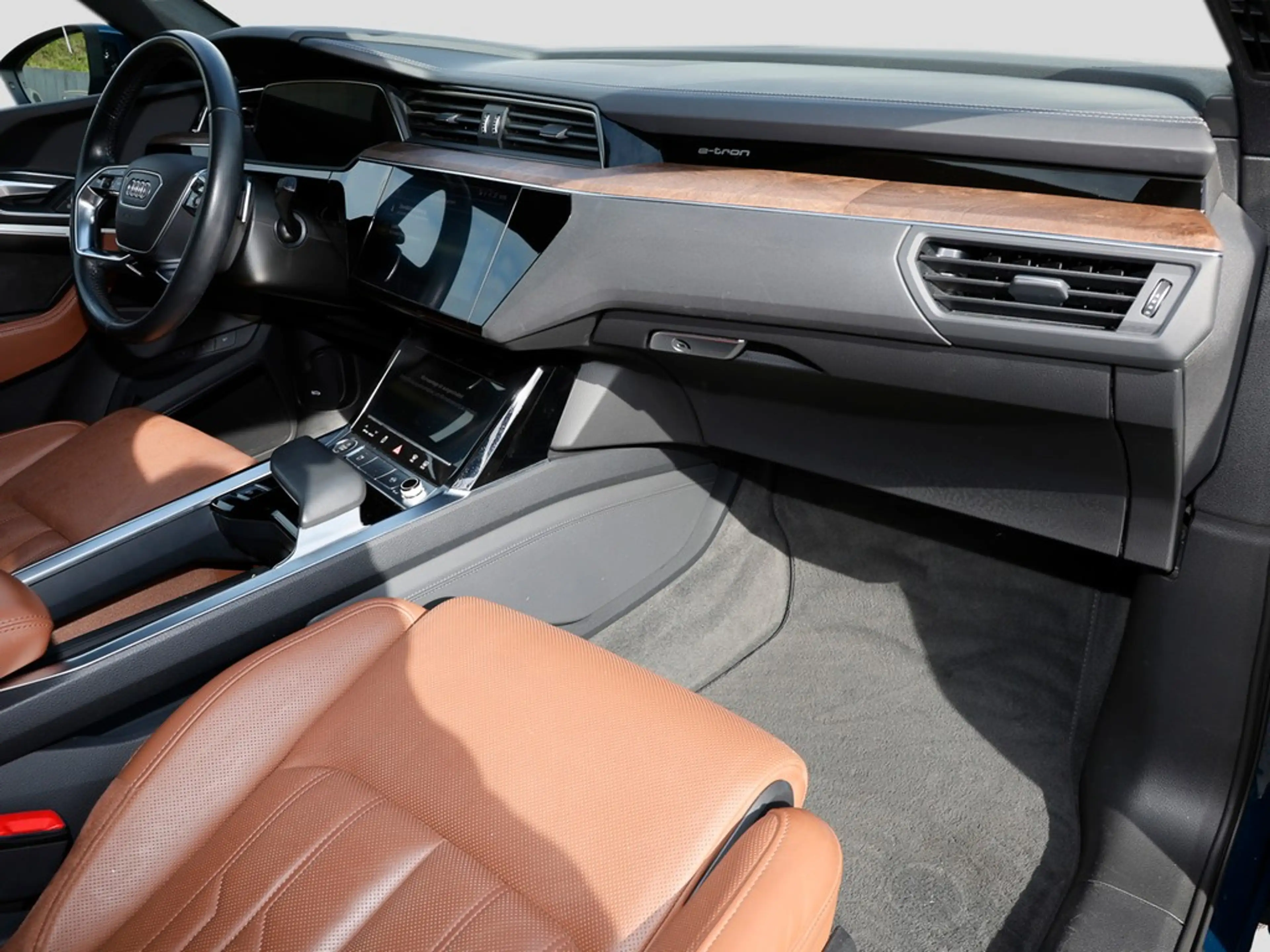 Audi e-tron 55 advanced Matrix HuD TopView Leder B&O — photo 14