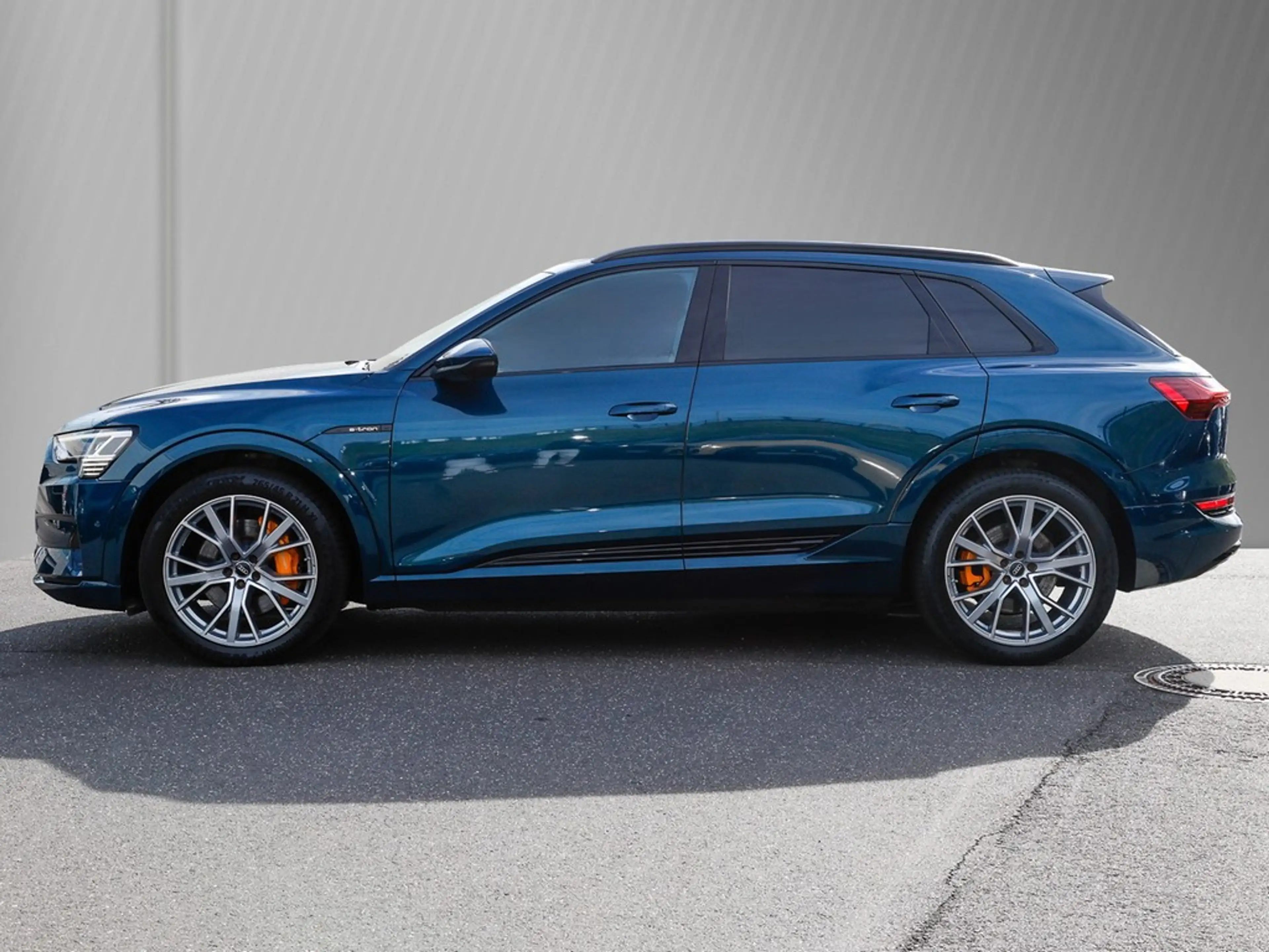Audi e-tron 55 advanced Matrix HuD TopView Leder B&O — photo 5