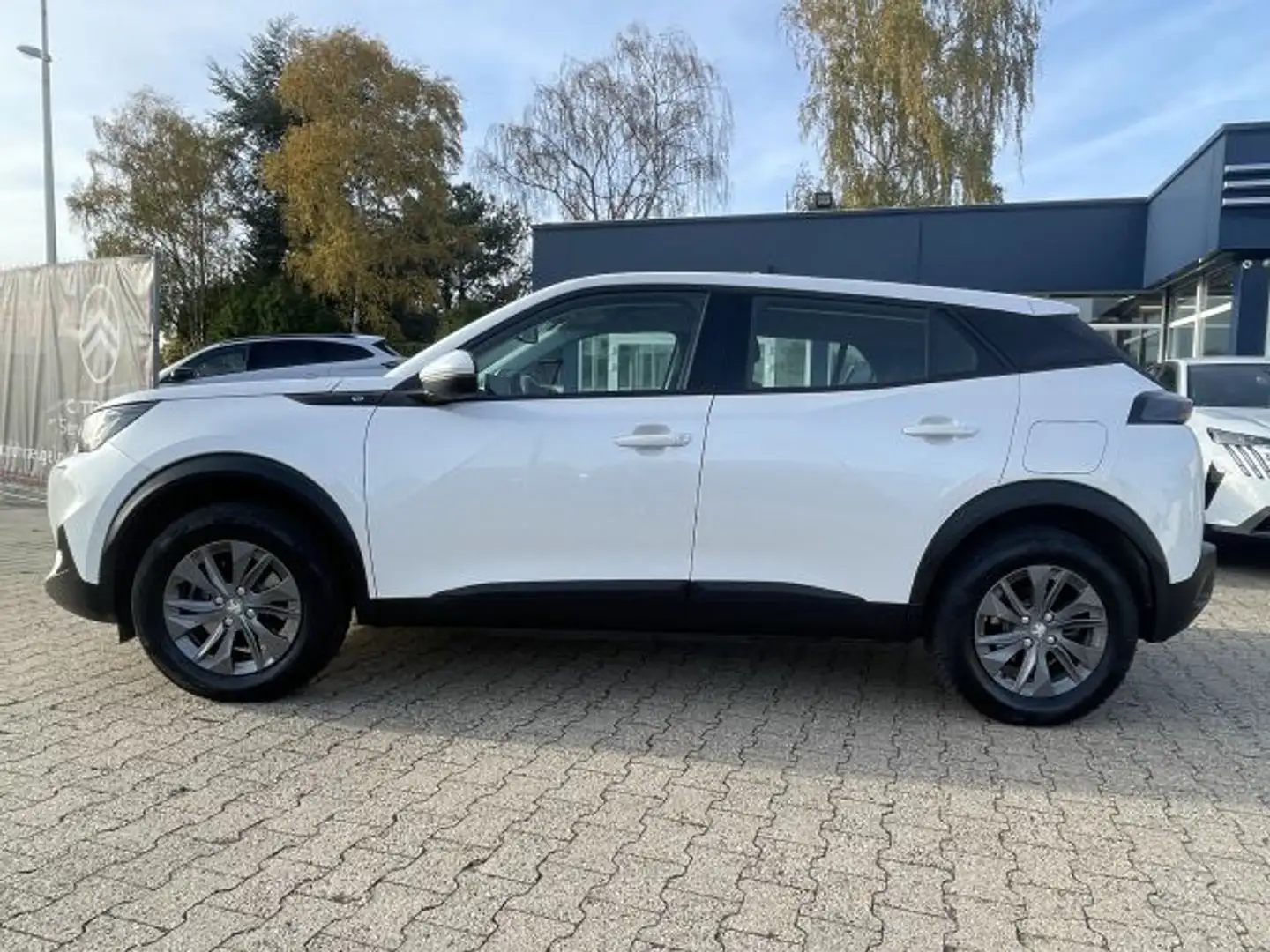 Peugeot 2008 Elektro Active Pack Weiß - 2