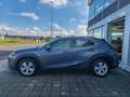 Lexus UX 250h Hybrid auto Fari LED Navi Retrocamera Cruise Grey - thumbnail 43