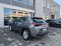 Lexus UX 250h Hybrid auto Fari LED Navi Retrocamera Cruise Grau - thumbnail 6