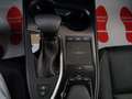 Lexus UX 250h Hybrid auto Fari LED Navi Retrocamera Cruise Gris - thumbnail 32